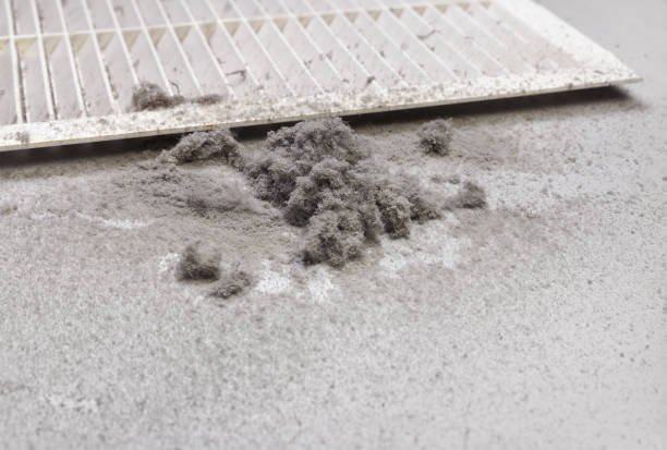 Best HVAC Duct Inspection Services  in Woody, WA