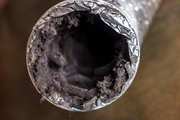 Best Affordable Duct Cleaning Services  in Woody, WA